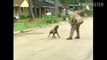 Funny video (Dog Running Behind Old Man)