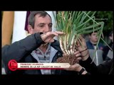 TV3 - Divendres - La Gran Festa de la Calçotada de Valls (part 1)