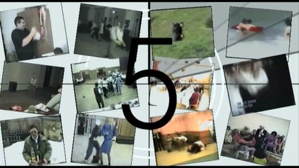 Funny Animals   Funny Dog plays TAKEDOWN