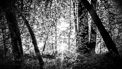 Zekija Cuturic - Kisa pada, rosna trava