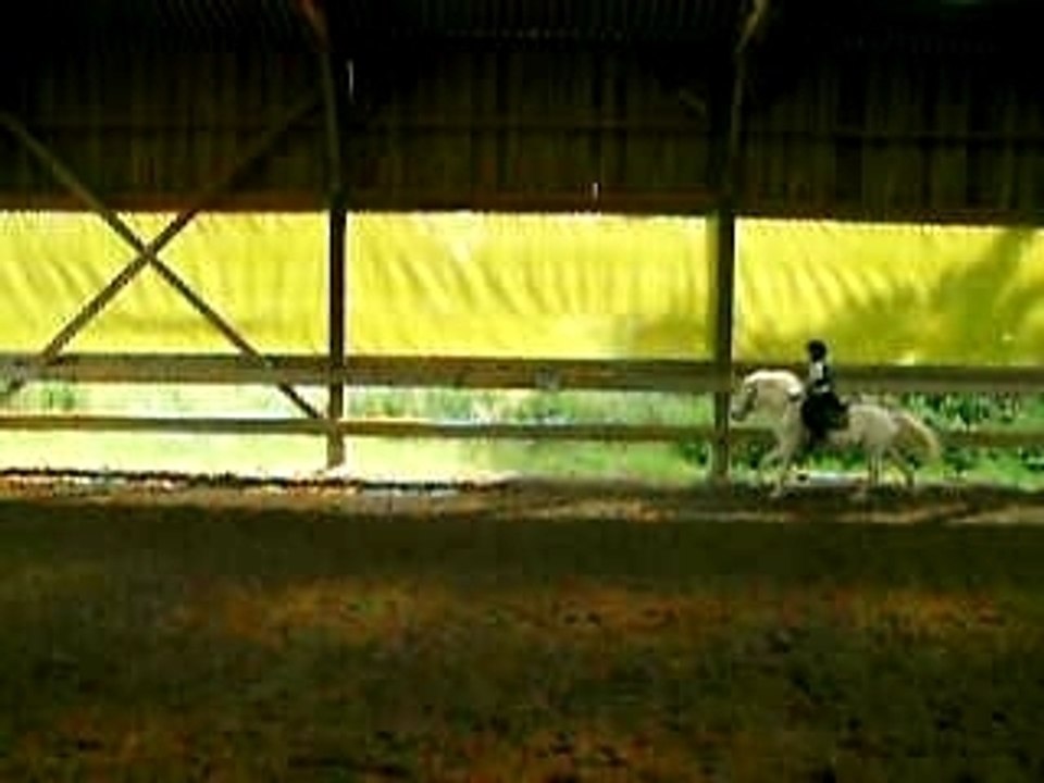Neige au galop