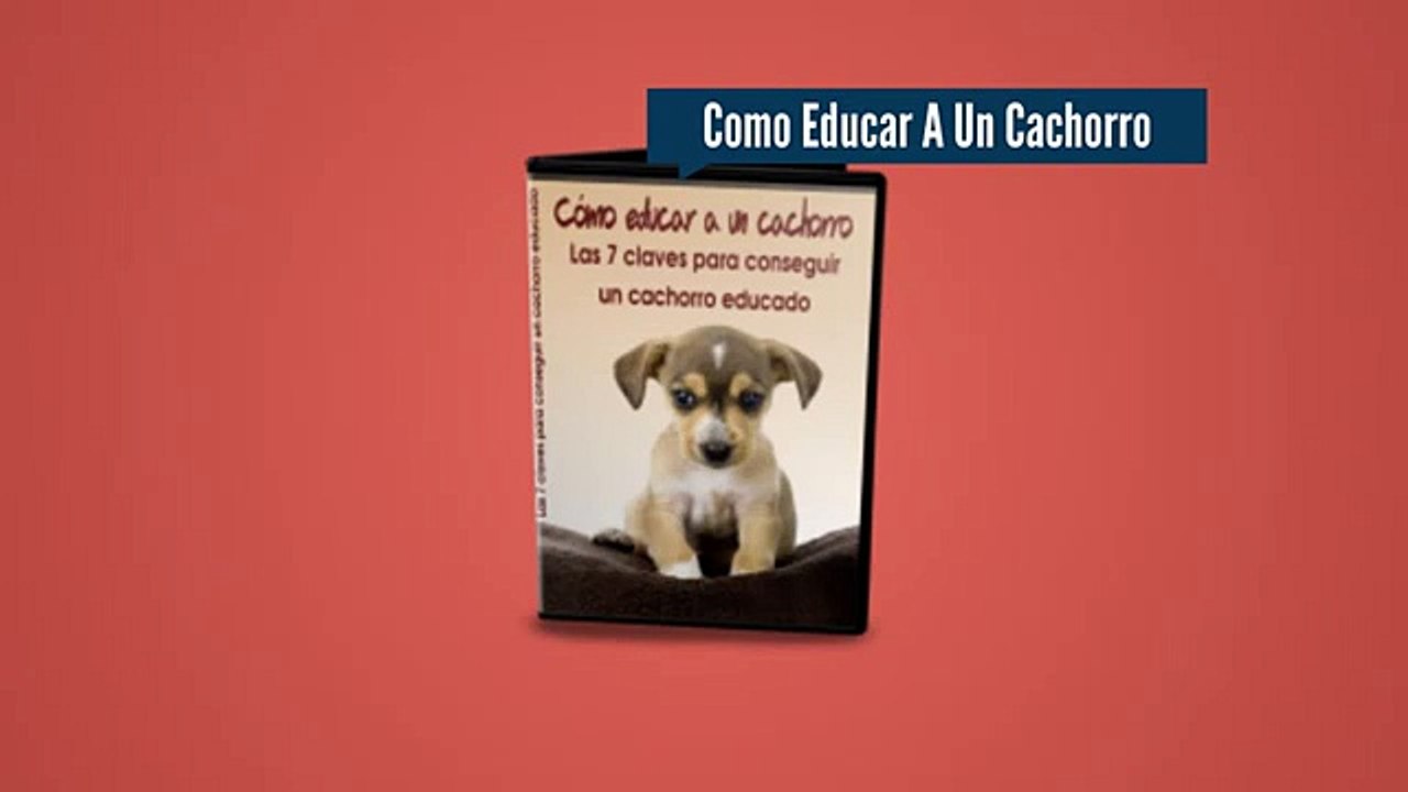 Como Educar A Un Cachorro - Como Educar A Un Cachorro PDF
