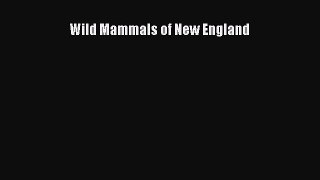 Wild Mammals of New England  Free Books