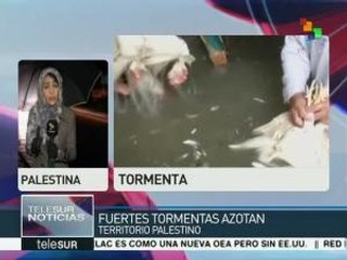 Tormenta invernal continúa afectando territorio palestino