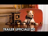Pongo il cane milionario Trailer Italiano Ufficiale (2014) - Tom Fernández Movie HD
