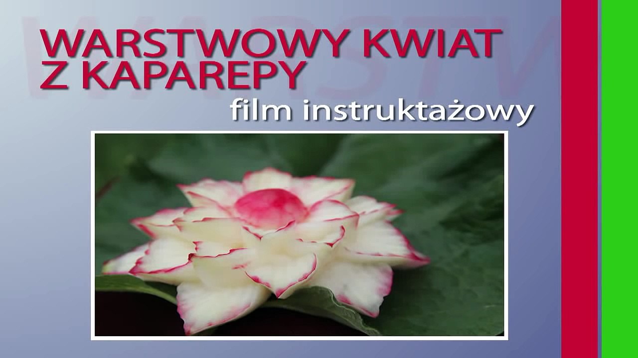 017. Darmowy kurs carvingu warstwowy kwiat z kalarepy _ Free carving course layered kohlrabi flower