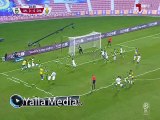 هدف مباراة ( الأهلي 0-1 الغرافة ) الدورى القطرى