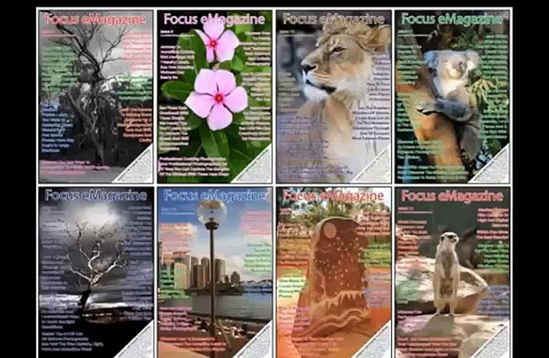 Online Photography Courses To Take Stunning Photos Digital Photography Success