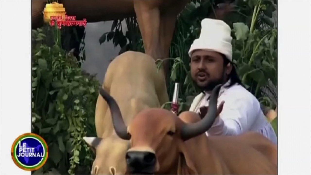 Zapping Télé du 27 janvier 2016 - Un défilé interminable et insolite en Inde !