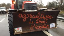 La colère des agriculteurs du pays de Dinan