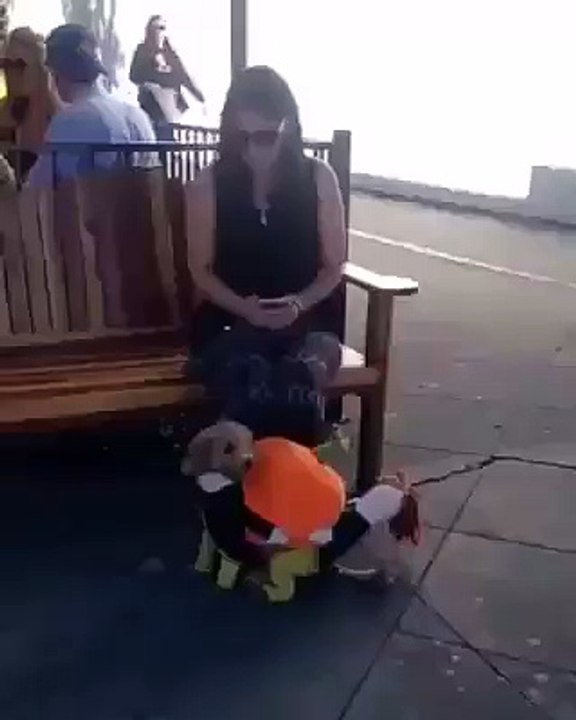 Such a Cute Puppy