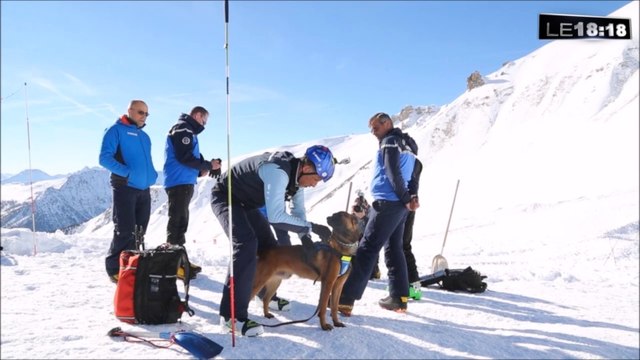 A Montgenèvre, les vrais héros sont les chiens