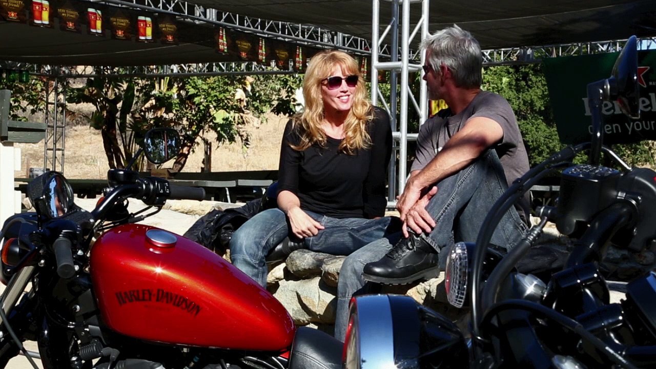 2015 Ducati Diavel (3 of 4)