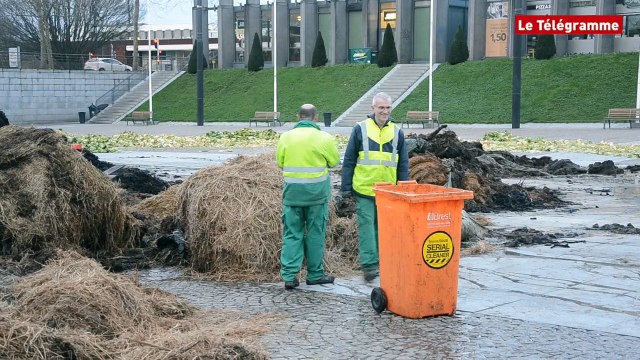 Brest. Le nettoyage de la place de la Liberté en images