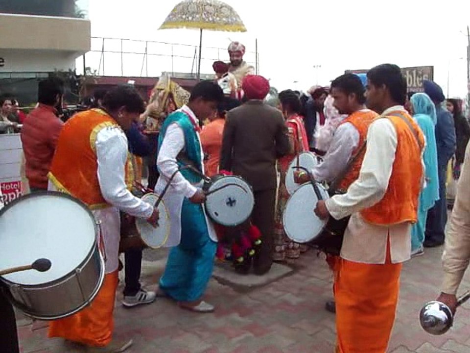 DHOLI IN CHANDIGARH +91-75083-77608 ASHOKA BAND IN CHANDIGARH ! MOHALI ! PANCHKULA