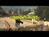 Chana Kuti Jhyai | Nepali Hot Comedy Short Movie | Marsyangdi Films
