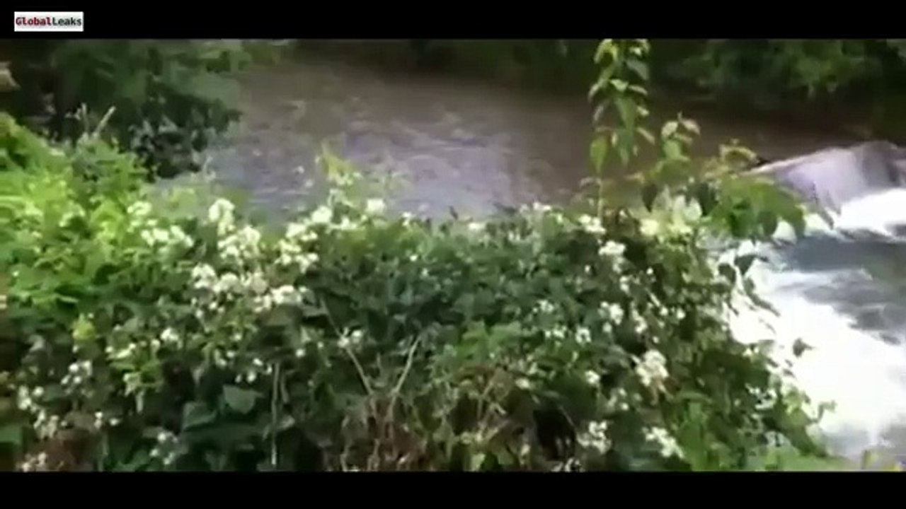 Fastest Flash Flood In History