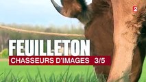 Feuilleton : chasseurs d'images (3/5)