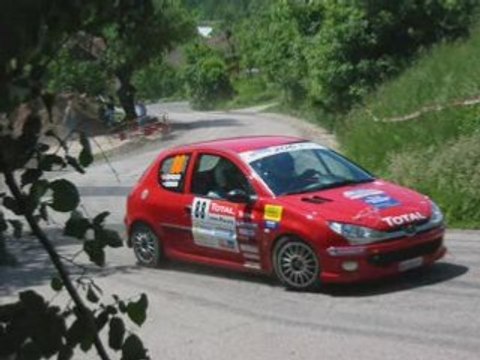 Rallye Alsace- Vosges 2007