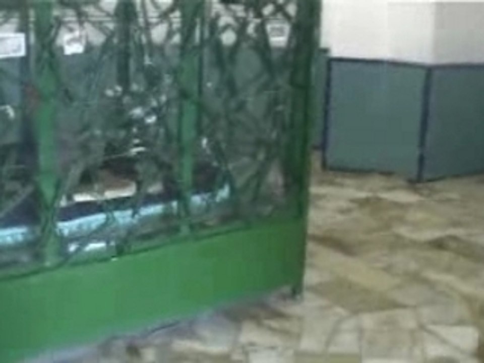 Abuloloa
