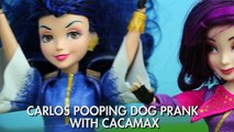 Carlos Gross Poop Prank, with Pooping Dog Cacamax, Mal, and Evie. DisneyToysFan