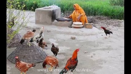 Suna Hai k Log Kachay - Urdu Poetry in "Apna Pakistan''