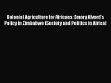 Colonial Agriculture for Africans: Emory Alvord's Policy in Zimbabwe (Society and Politics