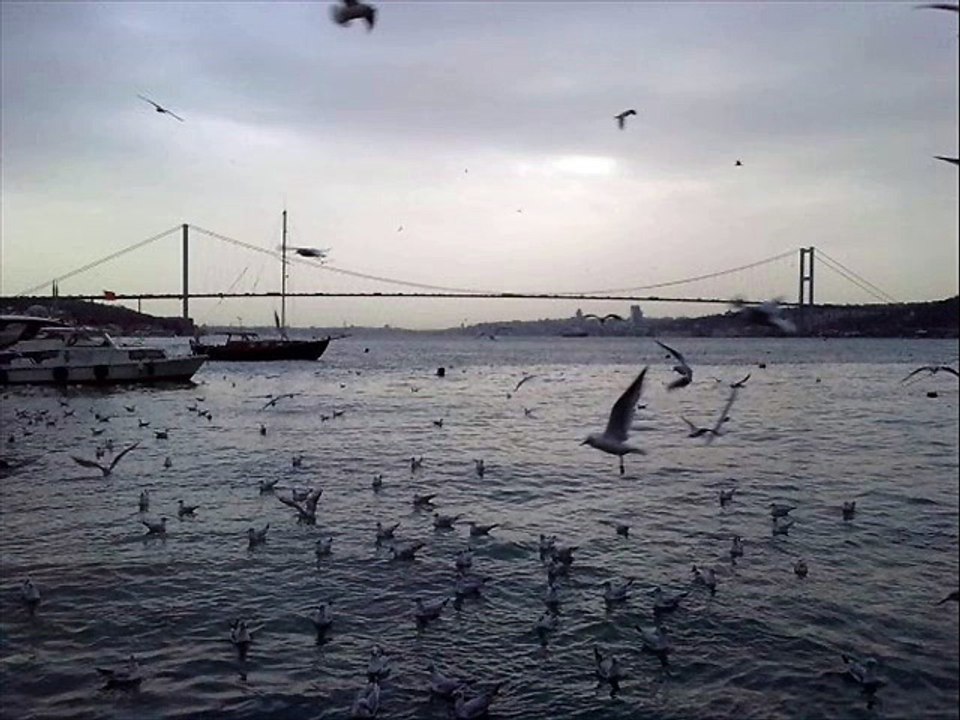 Cengiz Kurtoğlu - Şanssızım