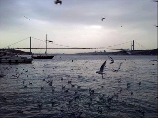 Cengiz Kurtoğlu - Şanssızım