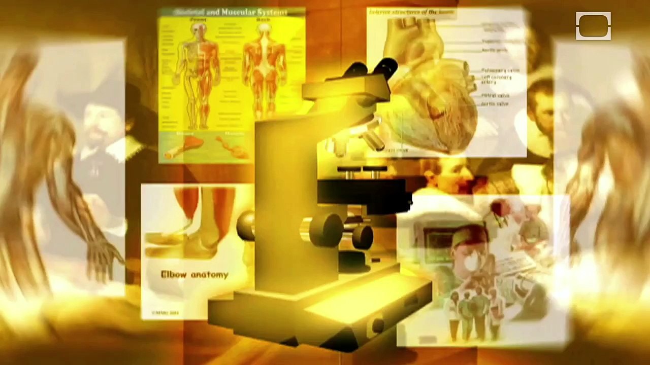 Future Human Evolution | CLASSIC - Dailymotion Video