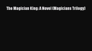 (PDF Download) The Magician King: A Novel (Magicians Trilogy) PDF