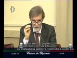 Roma - Riduzione emissioni inquinanti, audizione Ministro Delrio (27.01.16)