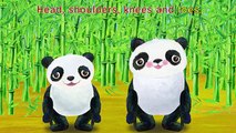 Head Shoulders Knees and Toes - Children Songs