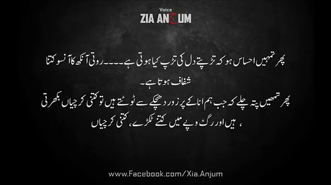 Mujhey Masihai ka Hunar Nahi Ata - Urdu Poetry in "Apna Pakistan''