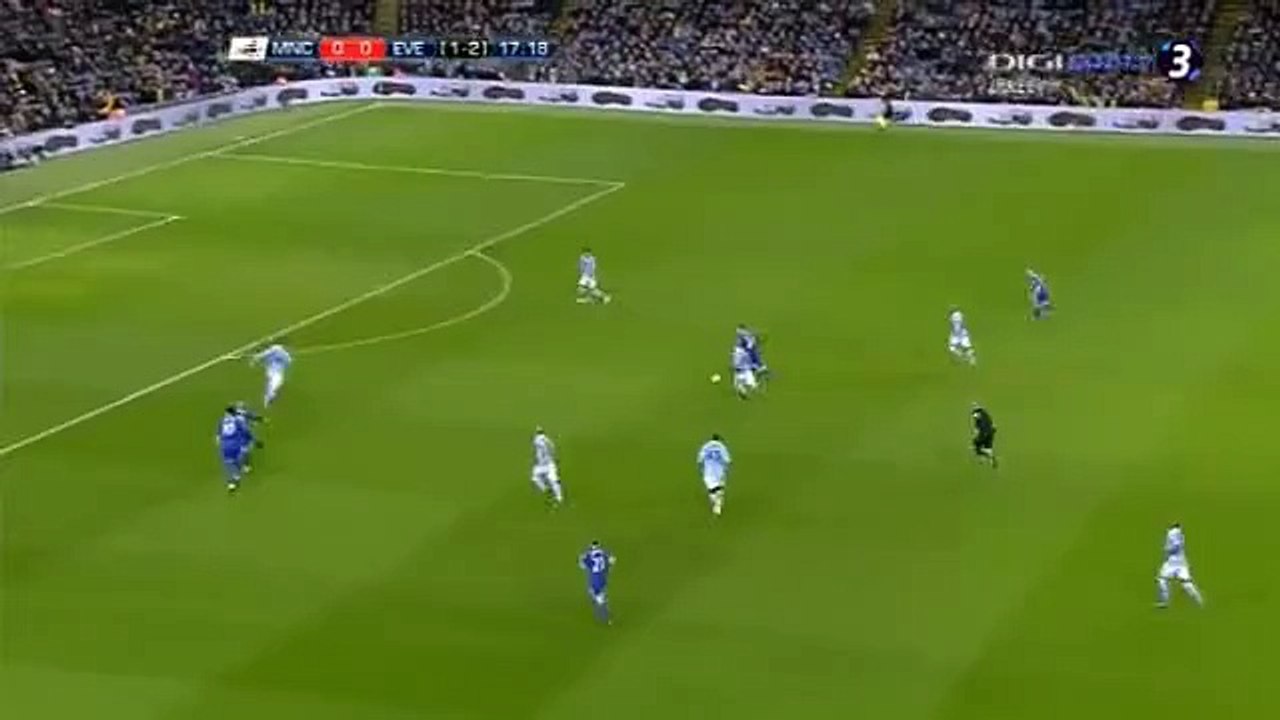 Ross Barkley Goal