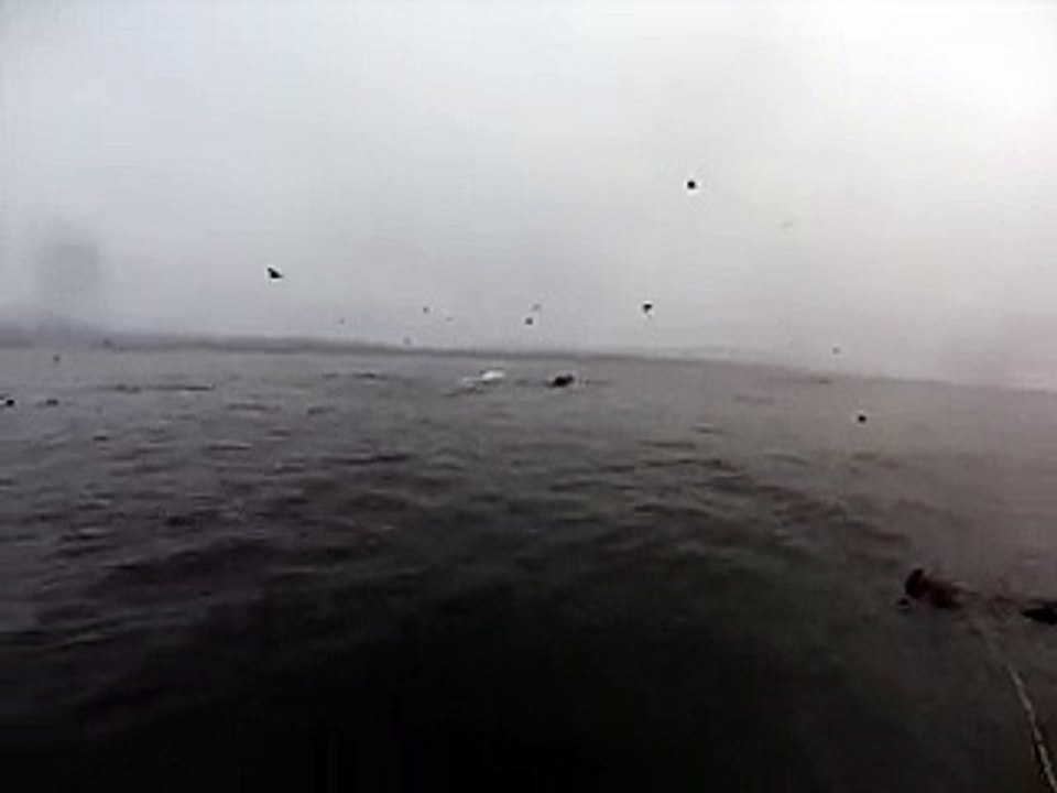 Deux plongeurs ont la peur de leur vie