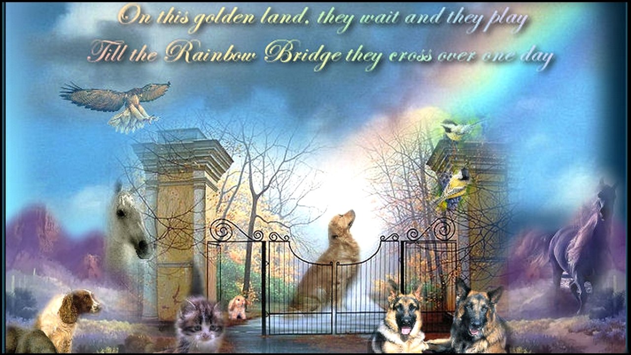 The Rainbow Bridge [HD]