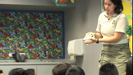 Adventure Classes at the Houston Zoo