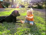 Little Girl Playing  With A Dog An Then...! Must Watch