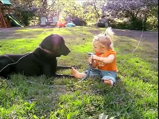 Little Girl Playing  With A Dog An Then...! Must Watch