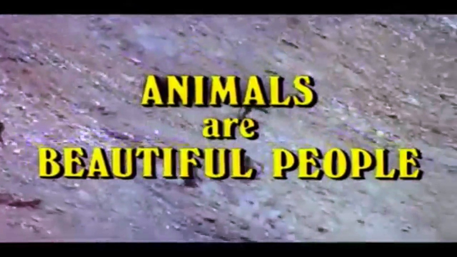 ⁣Animals Are Beautiful People (1974) Official Trailer - Paddy O'Byrne Animal Documentary HD
