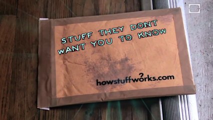 The Mafia: Fact and Fiction