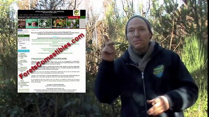 Permaculture: Conseil 4: Comment mieux communiquer avec soi et les autres