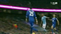 Manchester City vs Everton 3-1 ~ All Goals & Highlights