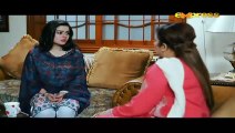 Pasheman Episode 2 Full on Express Ent. 27th January 2016