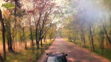 Osman Khalid But & Ushna Shah in  Ask 4 Car Askari Bank TVC 2016