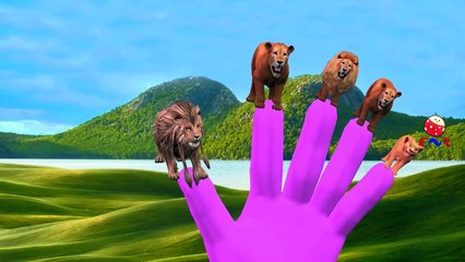 Lion Vs Gorilla Cartoons Singing Finger Family Children Nursery Rhymes | Epic Rap Battles