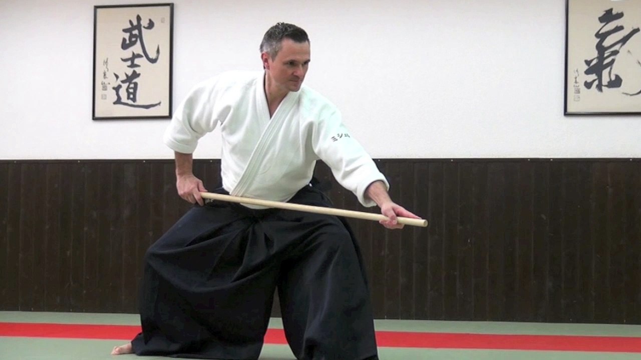 Les sélections techniques Aikido de Michel Erb Sensei Part 12
