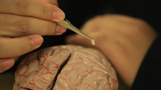 New Implantable Brain Sensor Dissolves After Surgery