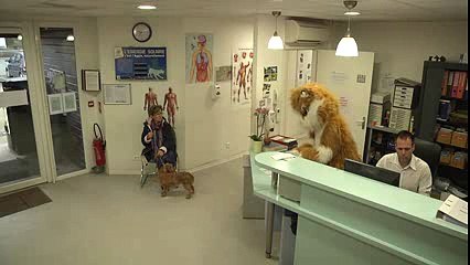 ANIMAL PLANET (REMI GAILLARD) - YouTube